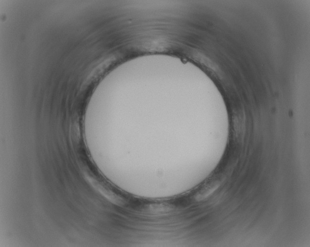 X0000077370541200611101707