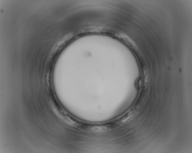 X0000077370542200611101707