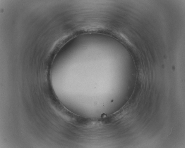 X0000077370543200611101707