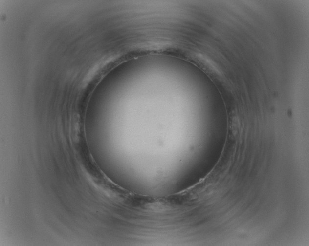 X0000077370544200611101707