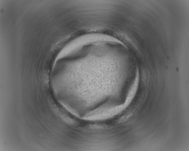 X0000077370545200611101707