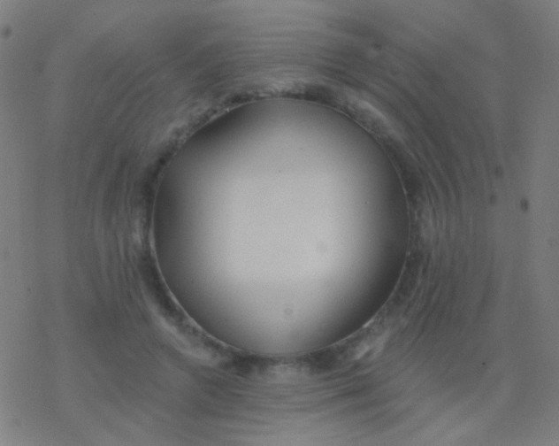 X0000077370546200611101707