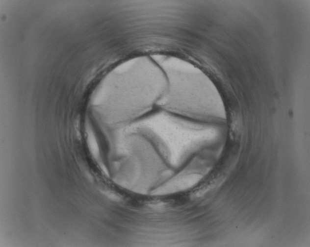 X0000077370547200611101707