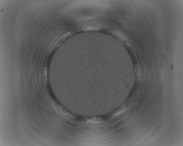 X0000077370550200611101707