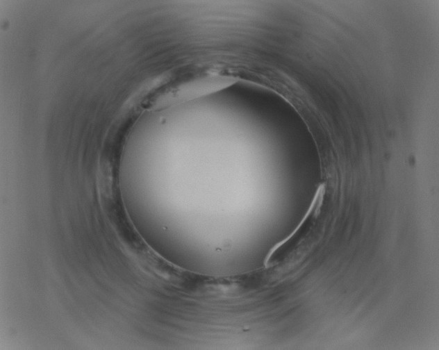 X0000077370552200611101707