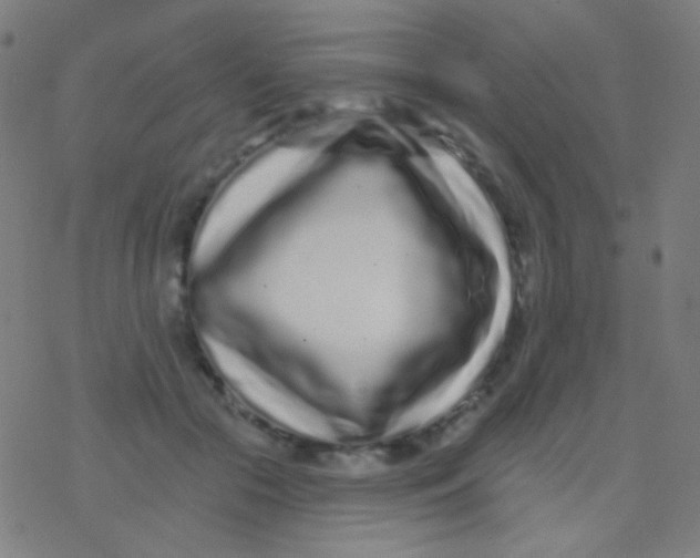 X0000077370553200611101707