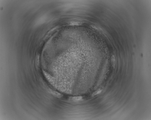 X0000077370554200611101707