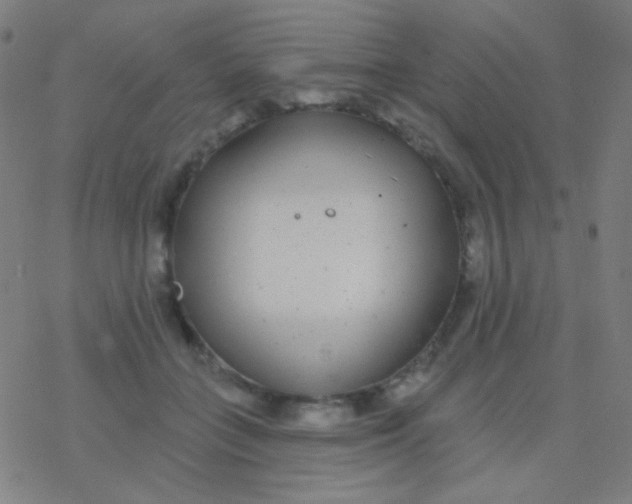 X0000077370555200611101707