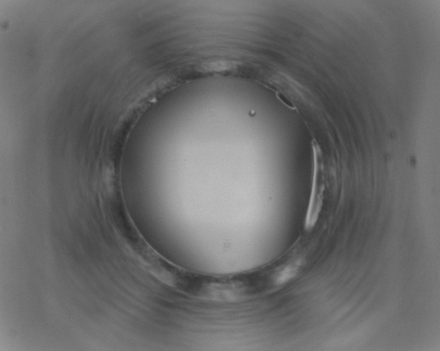 X0000077370556200611101707