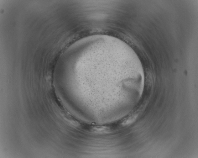 X0000077370557200611101707