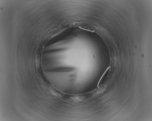 X0000077370558200611101707