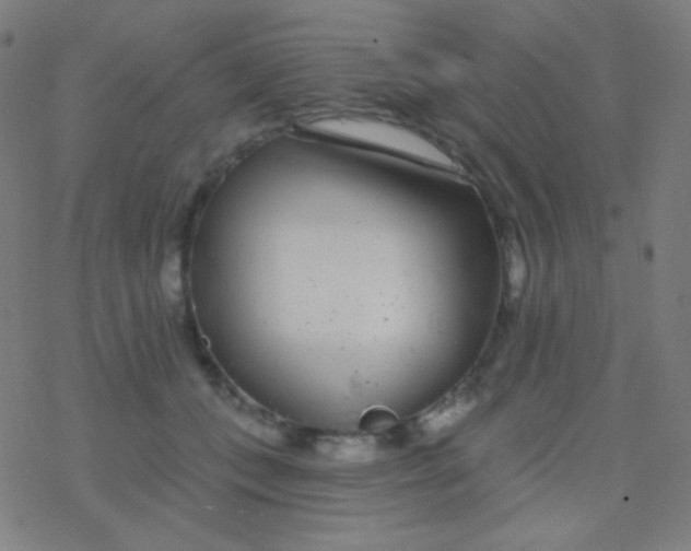 X0000077370559200611101707