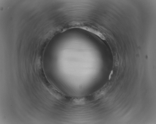 X0000077370560200611101707