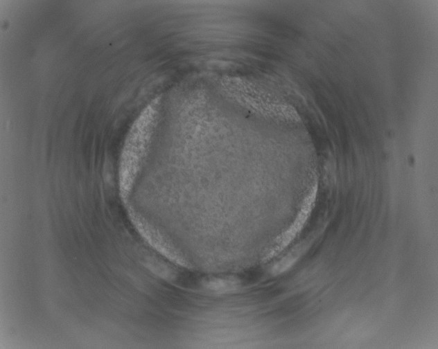 X0000077370561200611101707