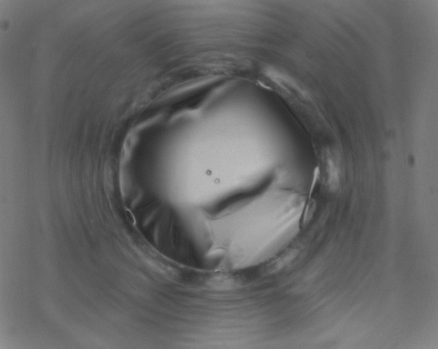 X0000077370562200611101707