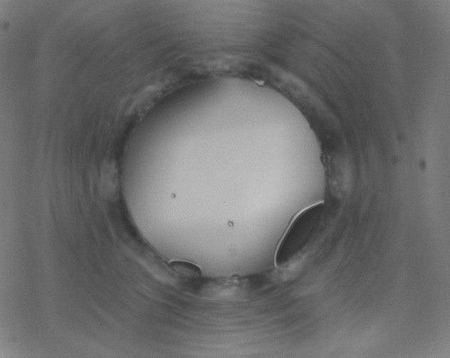 X0000077370563200611101707