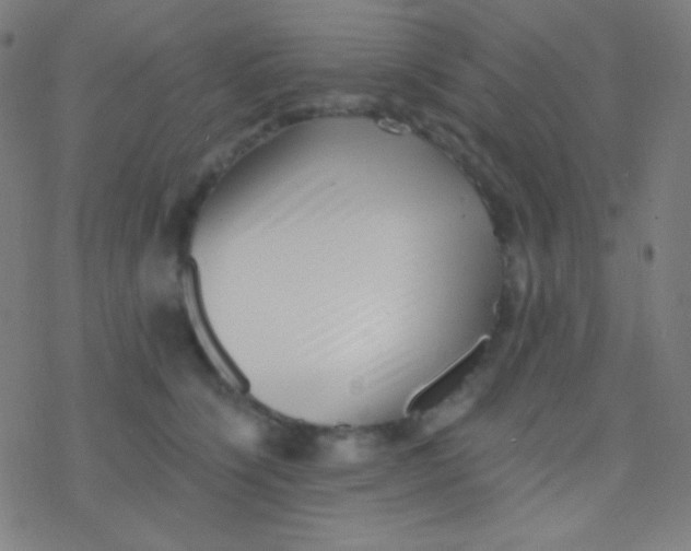 X0000077370564200611101707