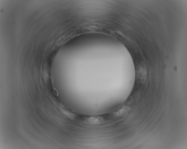 X0000077370566200611101707