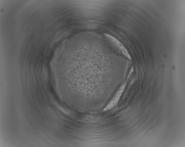 X0000077370568200611101707