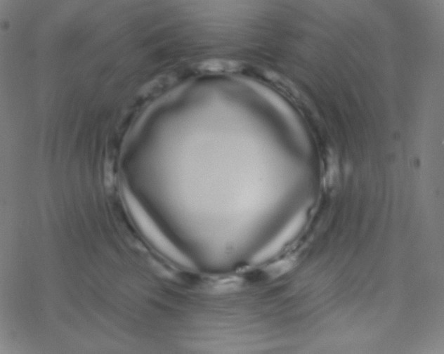 X0000077370569200611101707