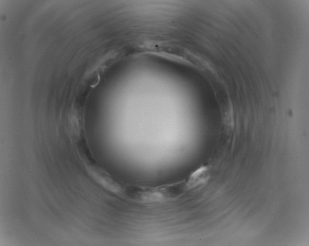 X0000077370572200611101707