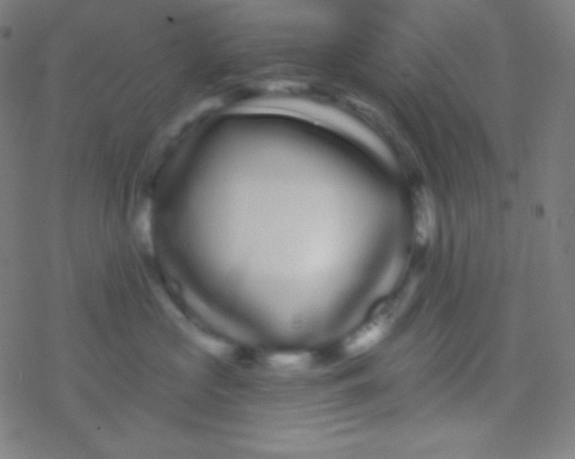 X0000077370573200611101707