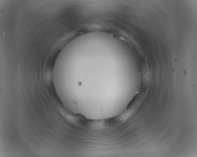 X0000077370574200611101707