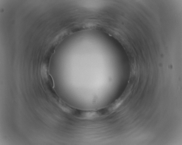 X0000077370575200611101707