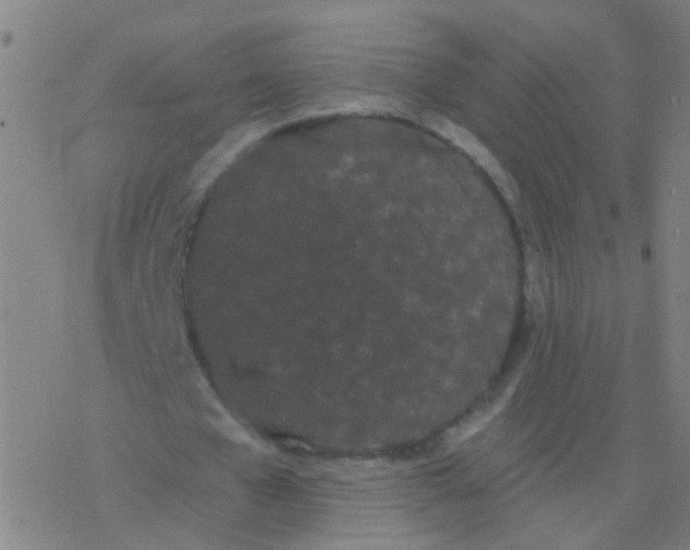 X0000077370577200611101706