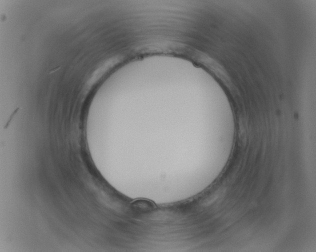 X0000077370578200611101706