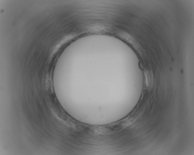 X0000077370579200611101706