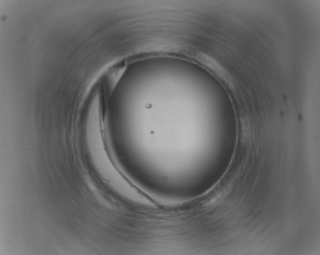 X0000077370580200611101706