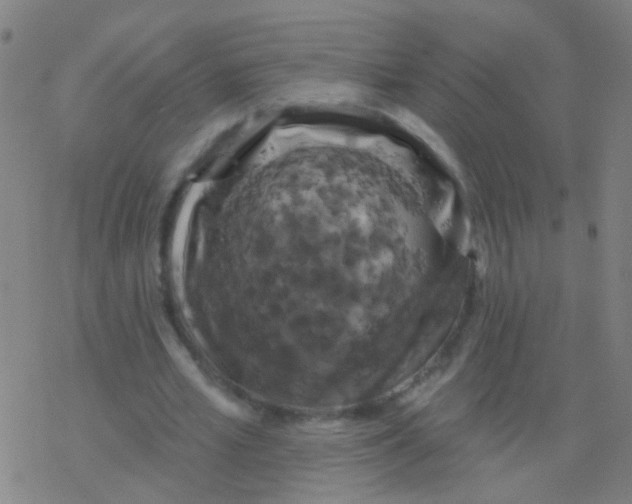 X0000077370581200611101706