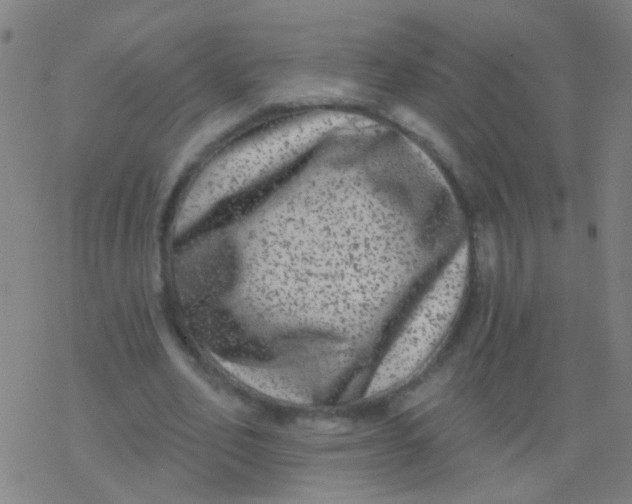 X0000077370582200611101706