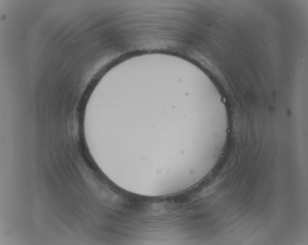 X0000077370584200611101706