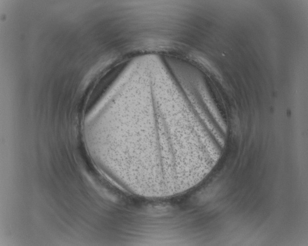 X0000077370586200611101706