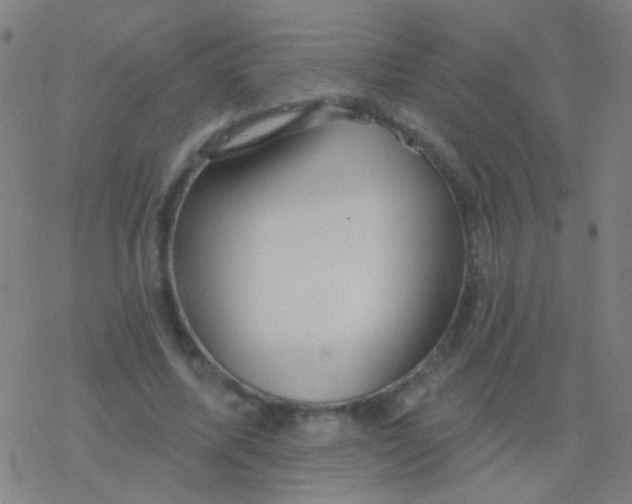 X0000077370587200611101706