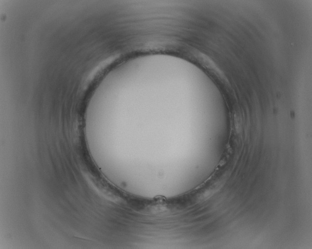 X0000077370588200611101706