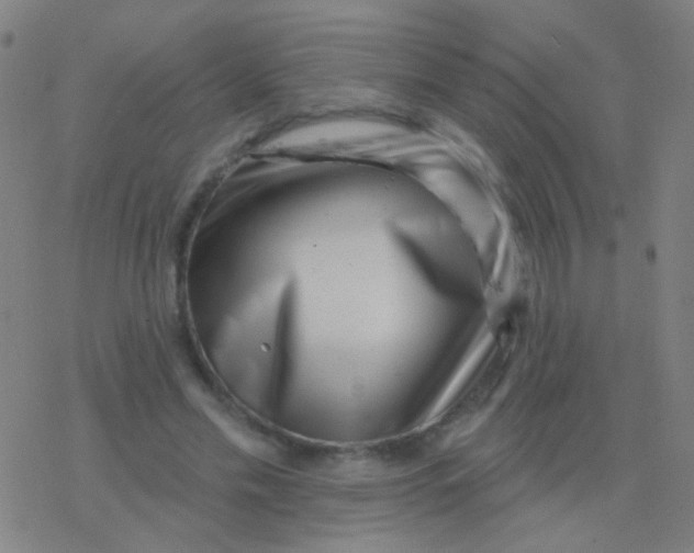 X0000077370589200611101706