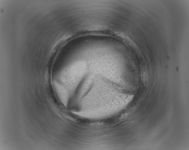 X0000077370591200611101706