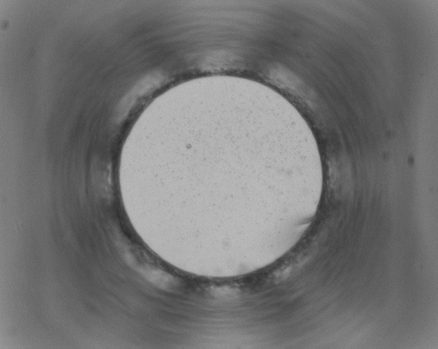 X0000077370592200611101706