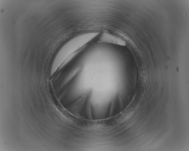 X0000077370593200611101706