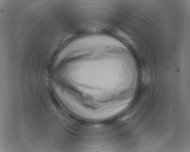 X0000077370594200611101706