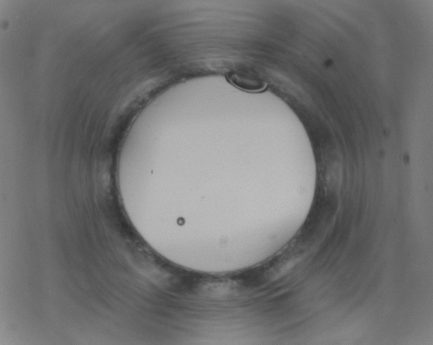 X0000077370595200611101706