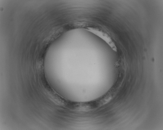 X0000077370601200611101706