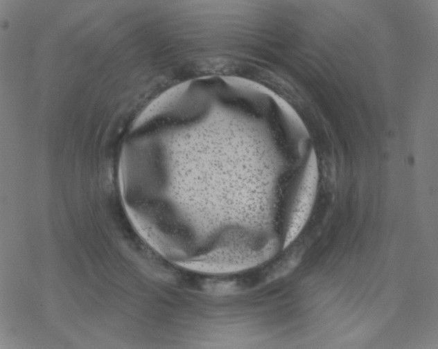 X0000077370602200611101706