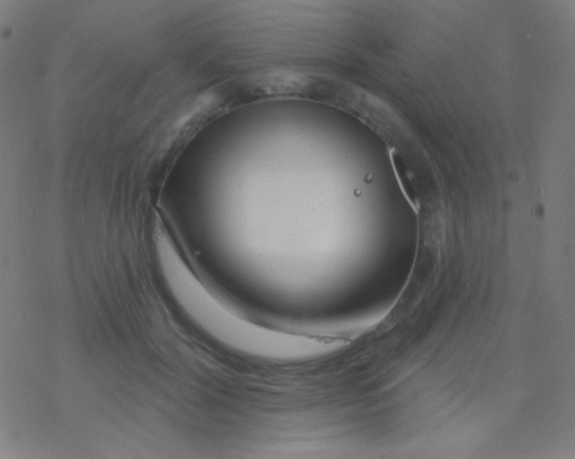 X0000077370604200611101706