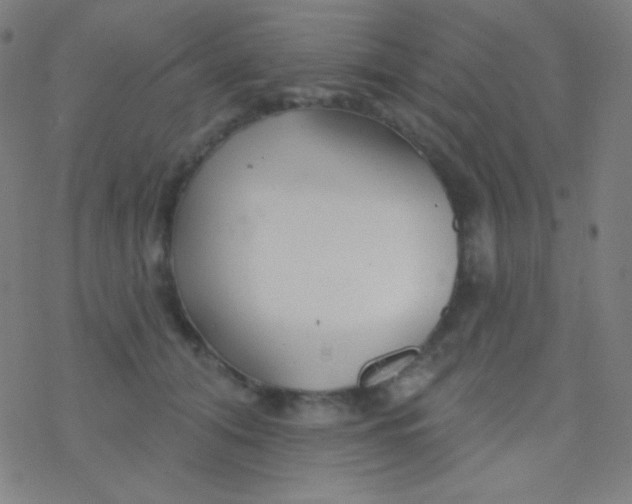 X0000077370608200611101706