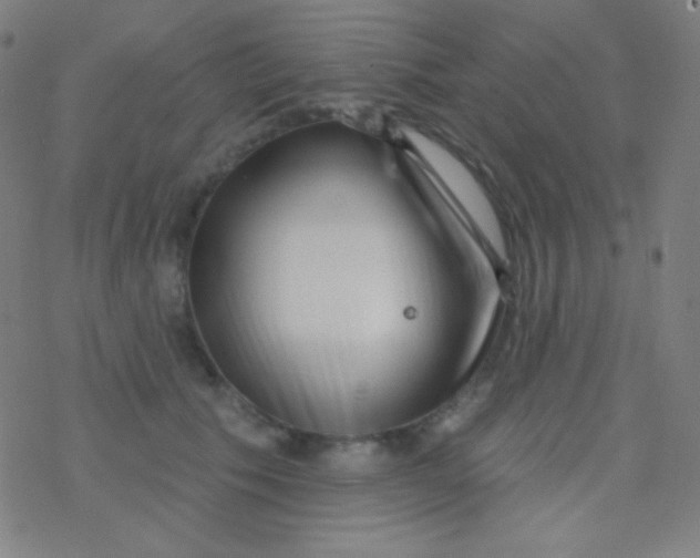 X0000077370609200611101706