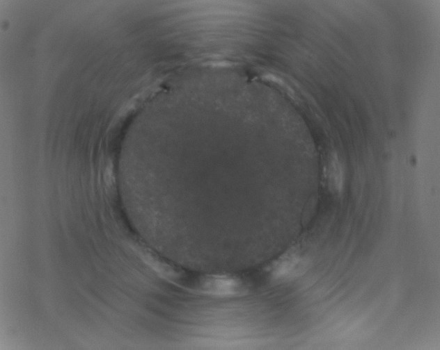 X0000077370610200611101706